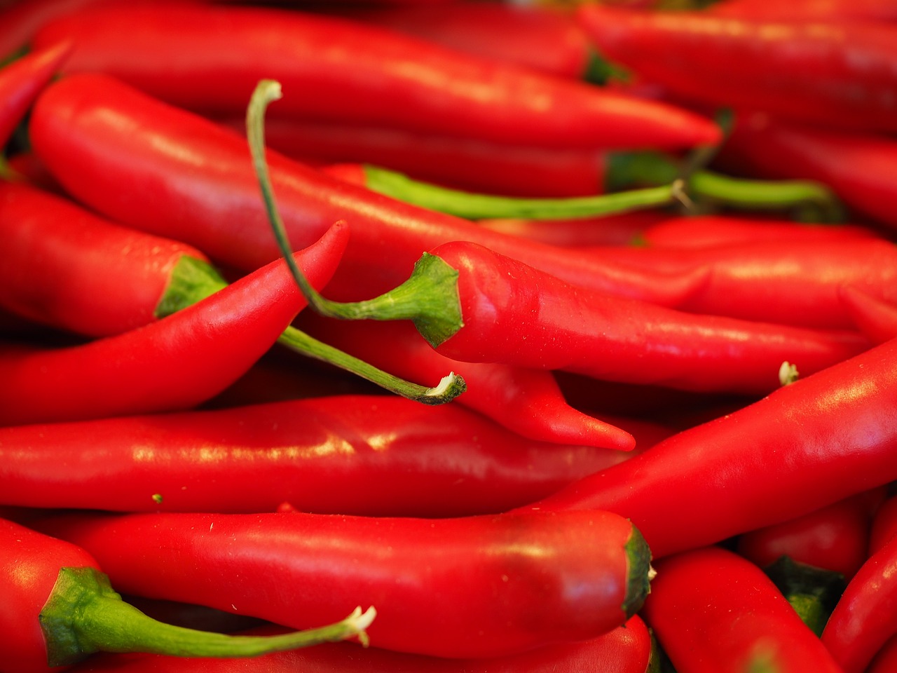Chili Pepper
